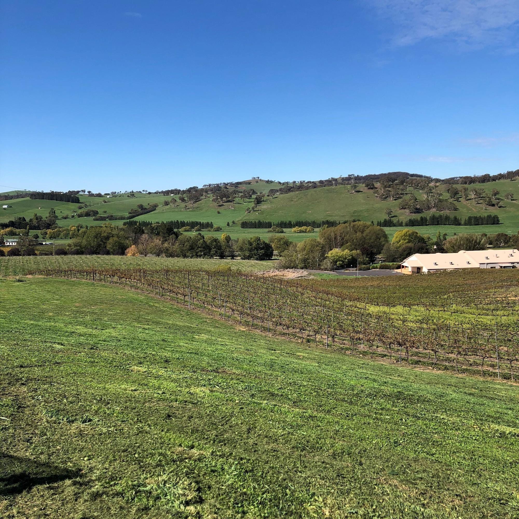 Turners Vineyard Motel Orange Luaran gambar