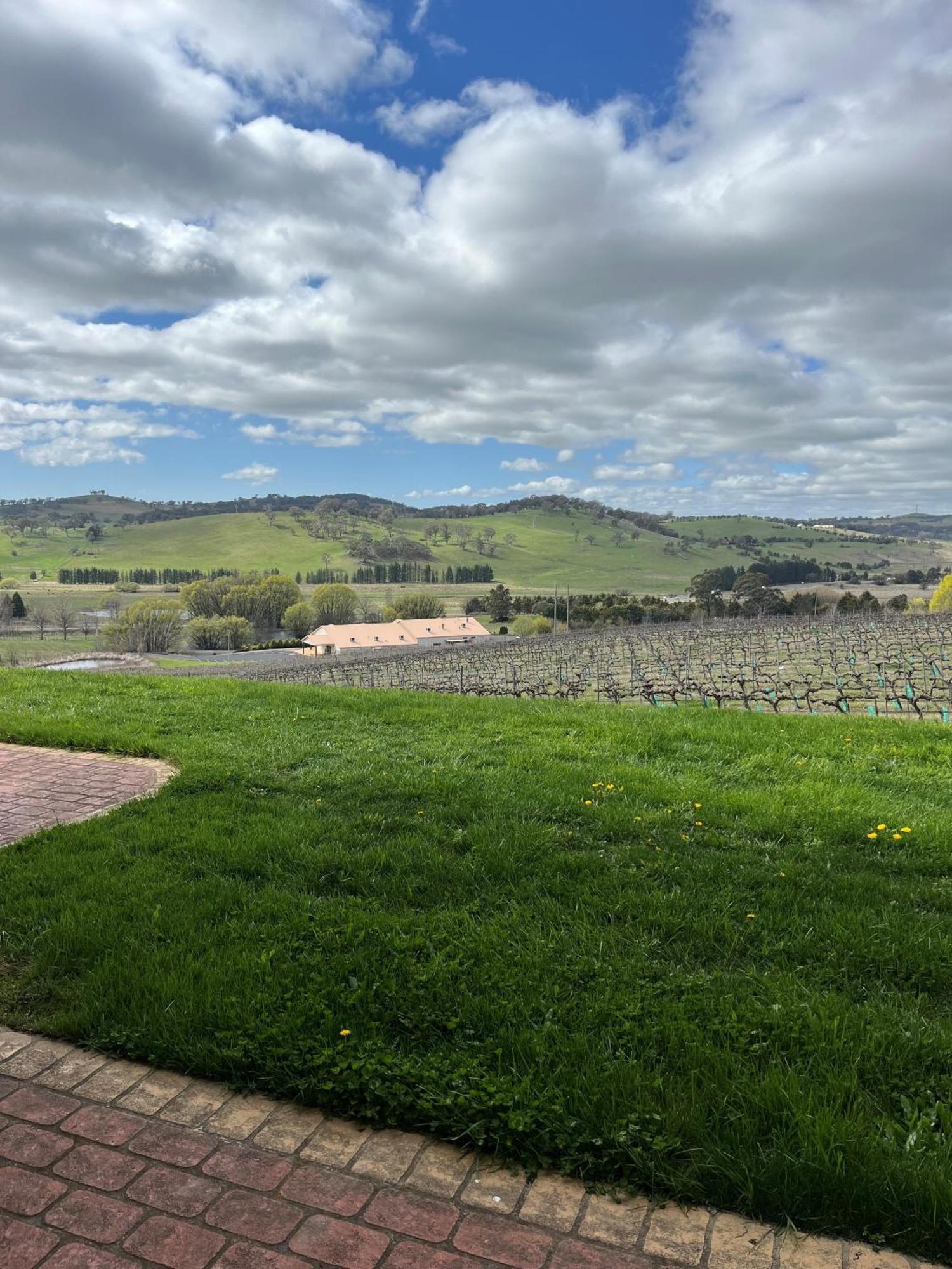 Turners Vineyard Motel Orange Luaran gambar