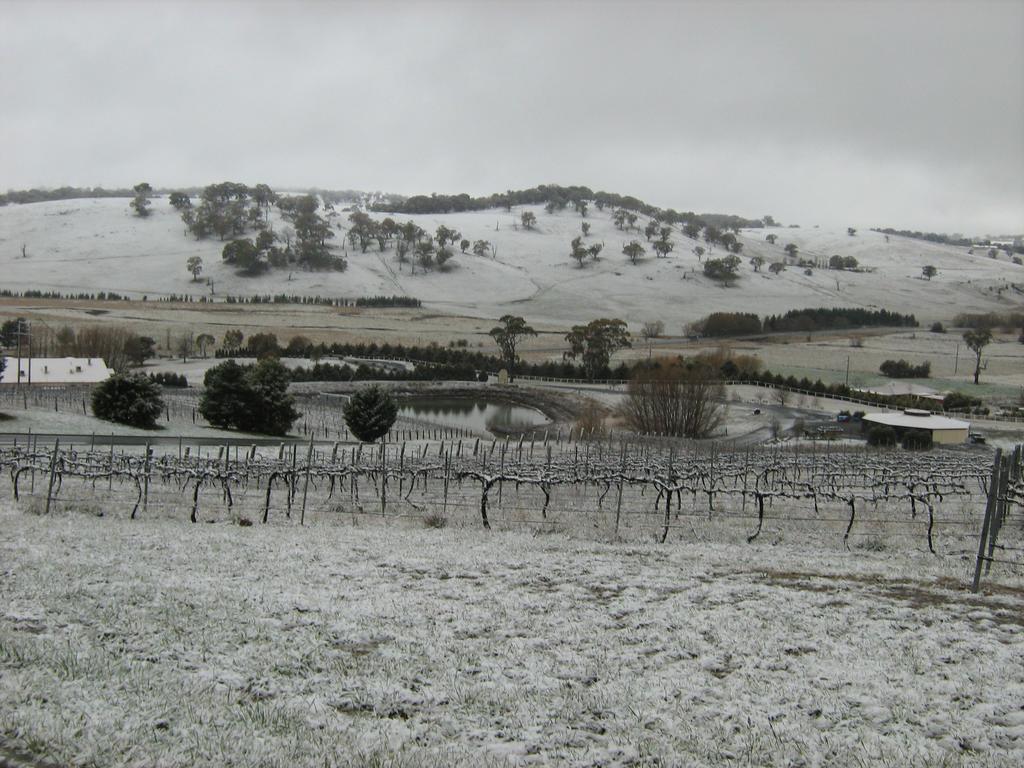Turners Vineyard Motel Orange Luaran gambar