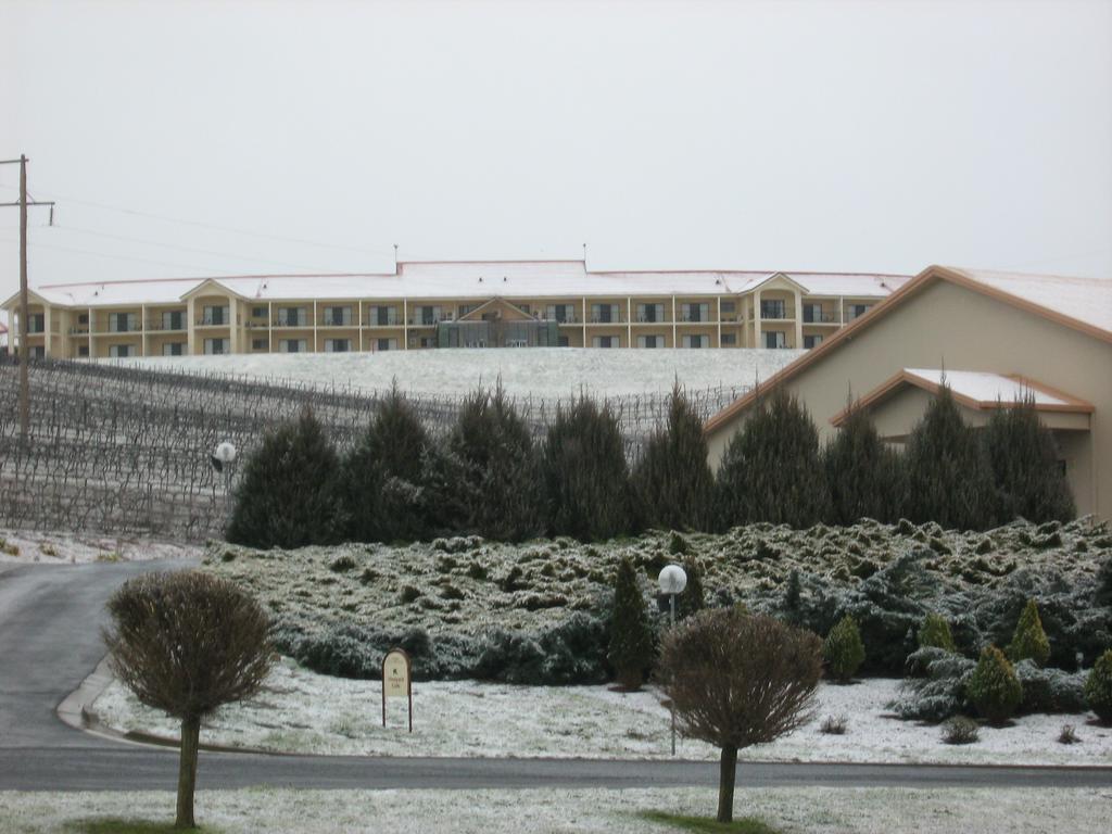 Turners Vineyard Motel Orange Luaran gambar