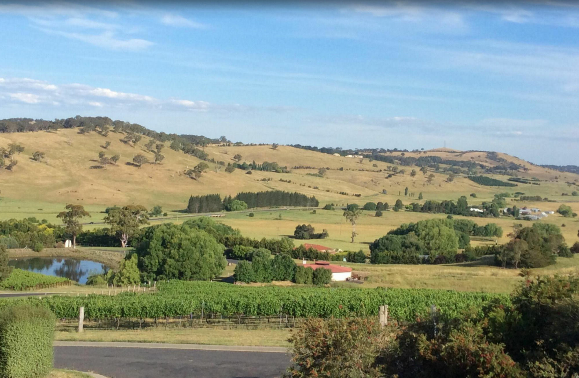 Turners Vineyard Motel Orange Luaran gambar