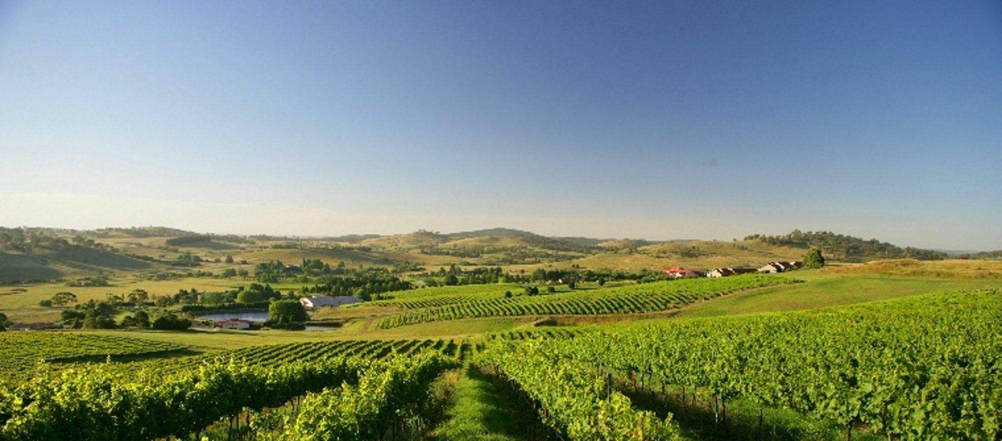 Turners Vineyard Motel Orange Luaran gambar