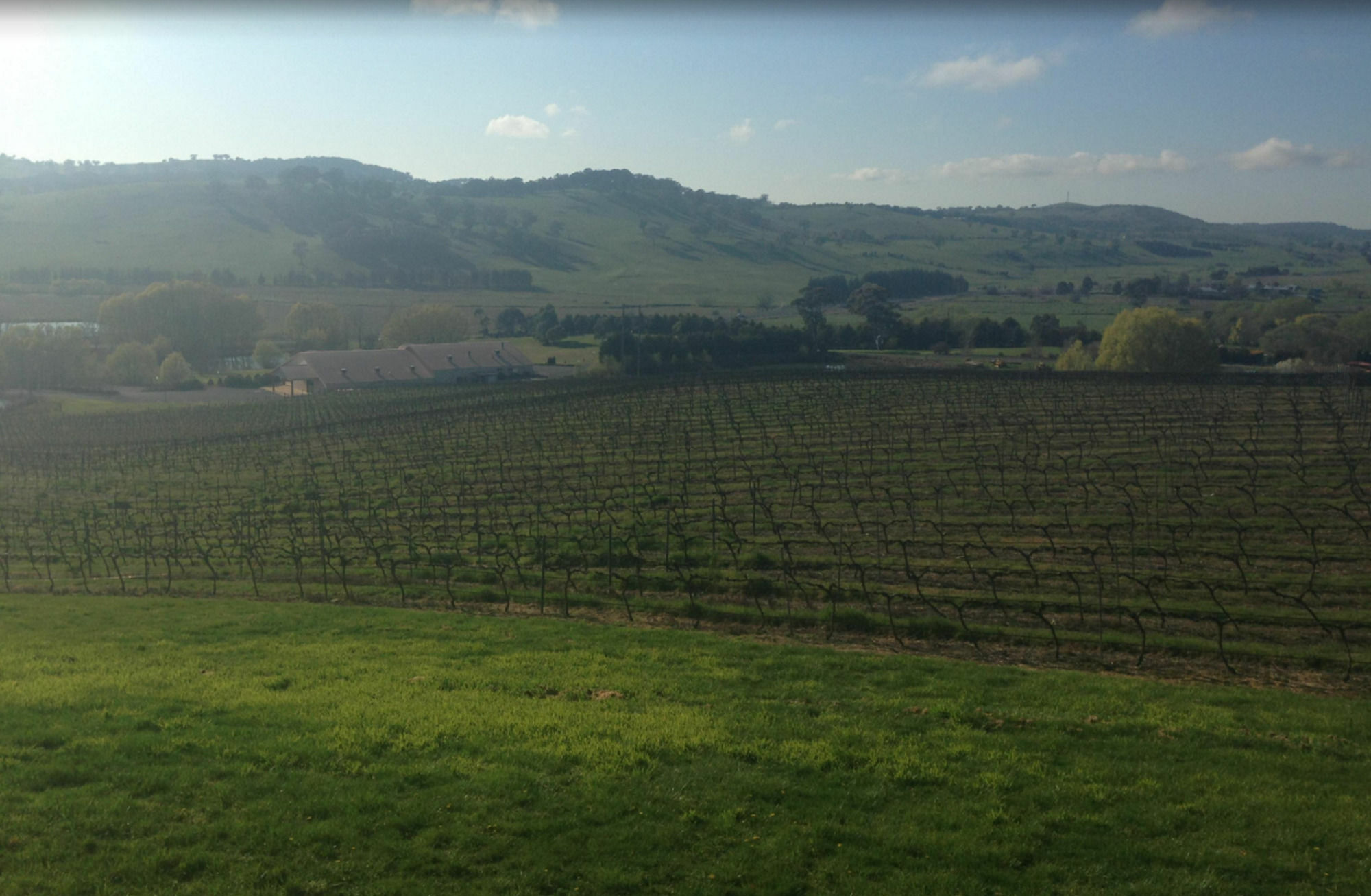 Turners Vineyard Motel Orange Luaran gambar