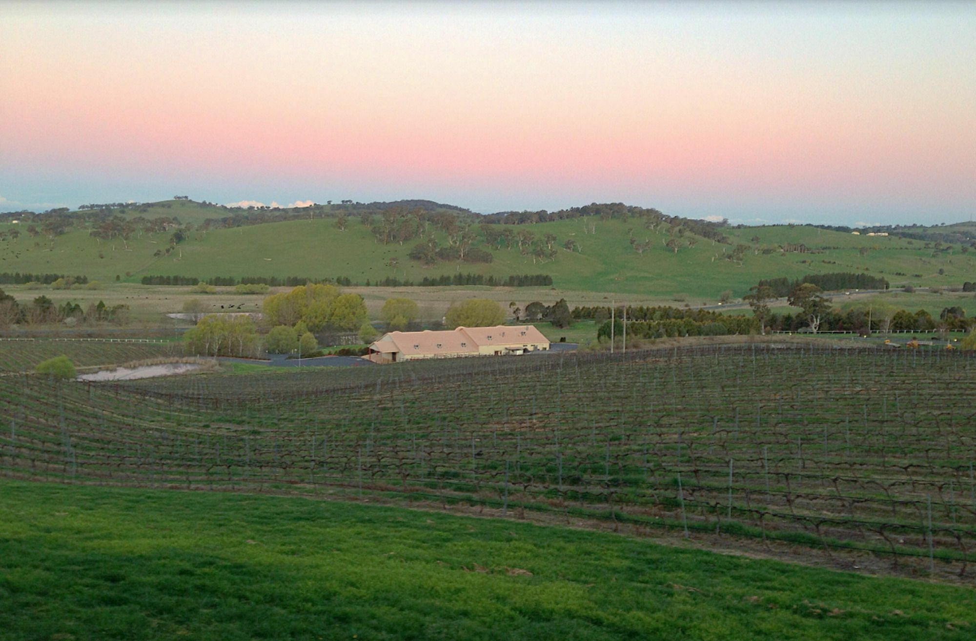 Turners Vineyard Motel Orange Luaran gambar