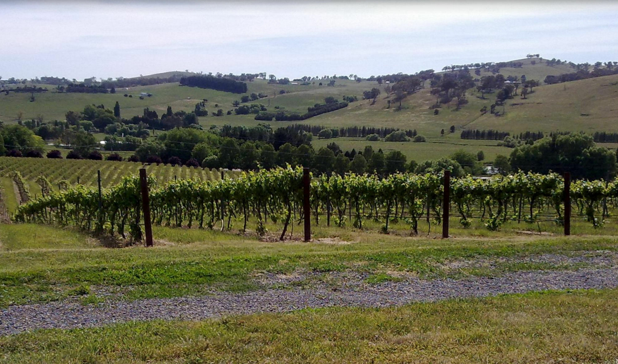 Turners Vineyard Motel Orange Luaran gambar